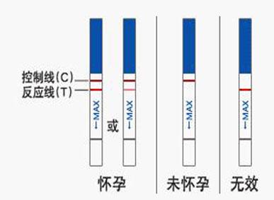 测孕什么时候测比较好  最佳测孕时间是什么时候